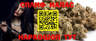 гидра Бузулук