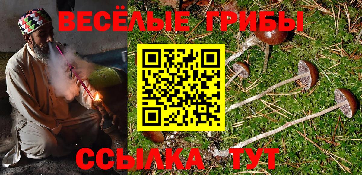 как найти   Псилоцибиновые грибы MAGIC MUSHROOMS  Галлюциногенные грибы GOLDEN TEACHER  Вход с VPN  Партизанск 